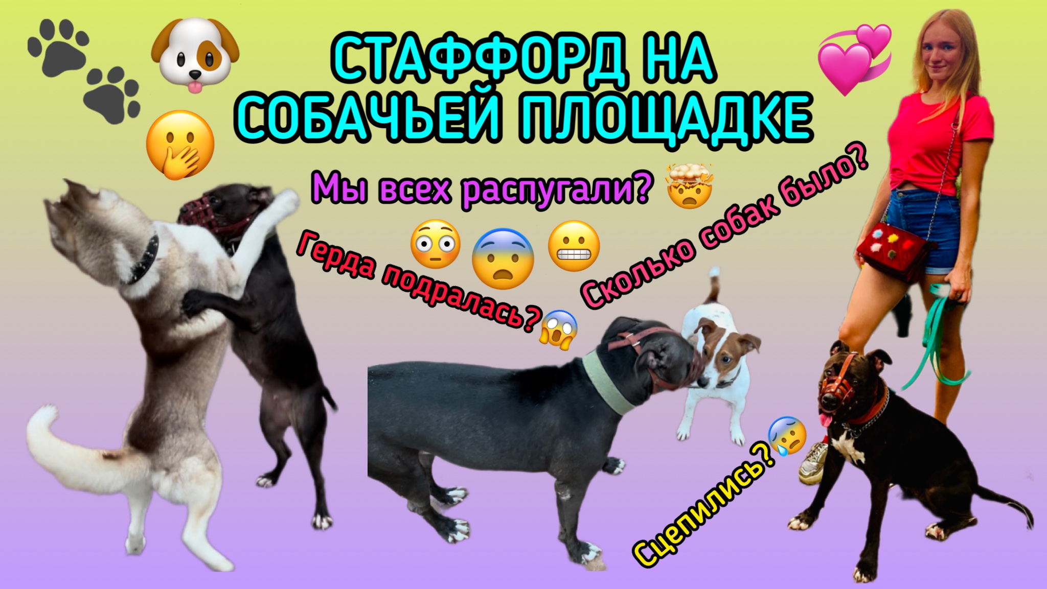 СТАФФОРД НА СОБАЧЬЕЙ ПЛОЩАДКЕ
