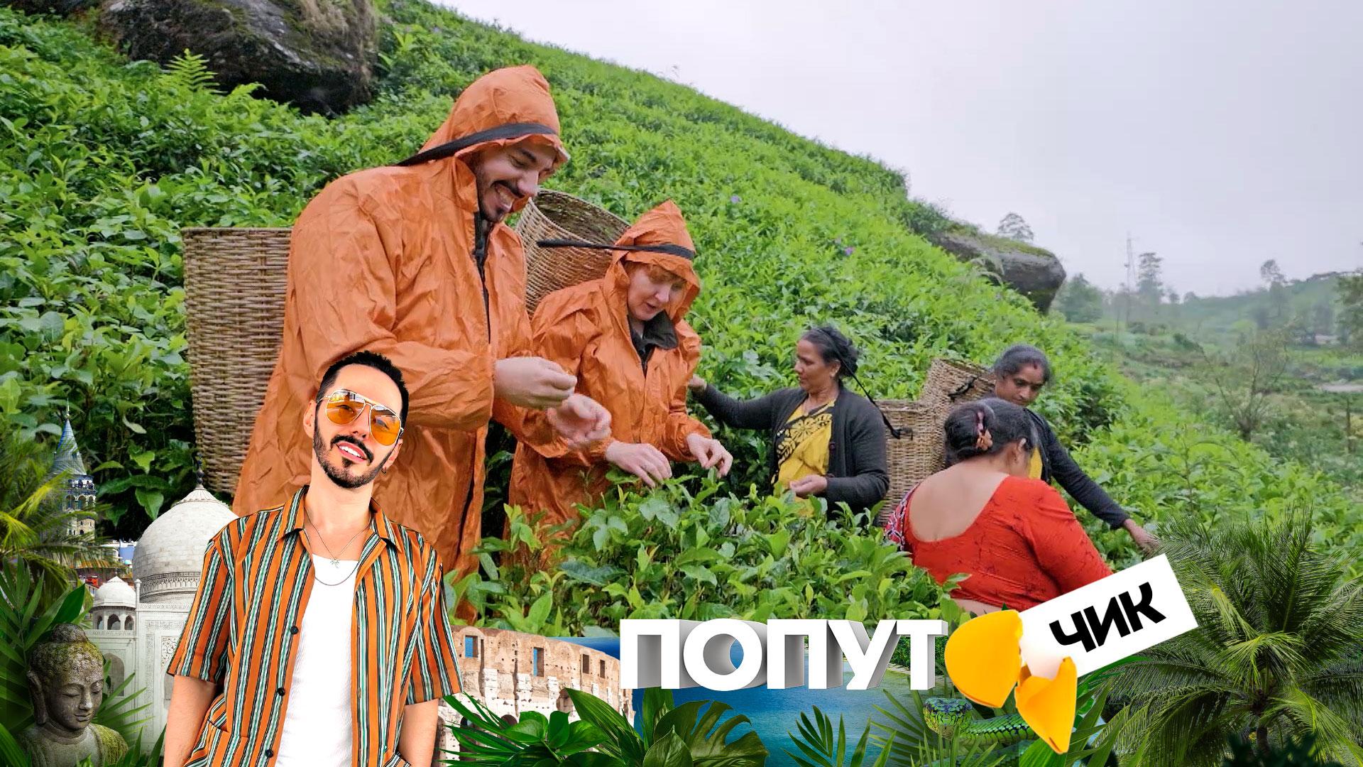 «Попутчик». 9 выпуск | Шри-Ланка: 50 оттенков зеленого