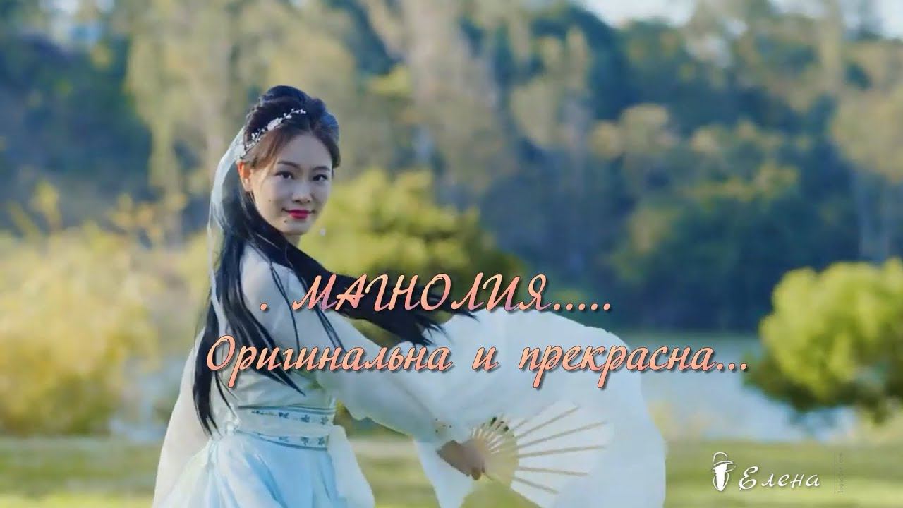 Оригинальна и прекрасна    МАГНОЛИЯ*
