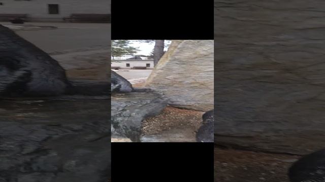 г. Златоуст.  Парк П.П. Бажова. Март 2023