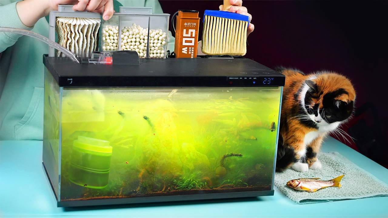 Аквариум из будущего - 120 дней спустя