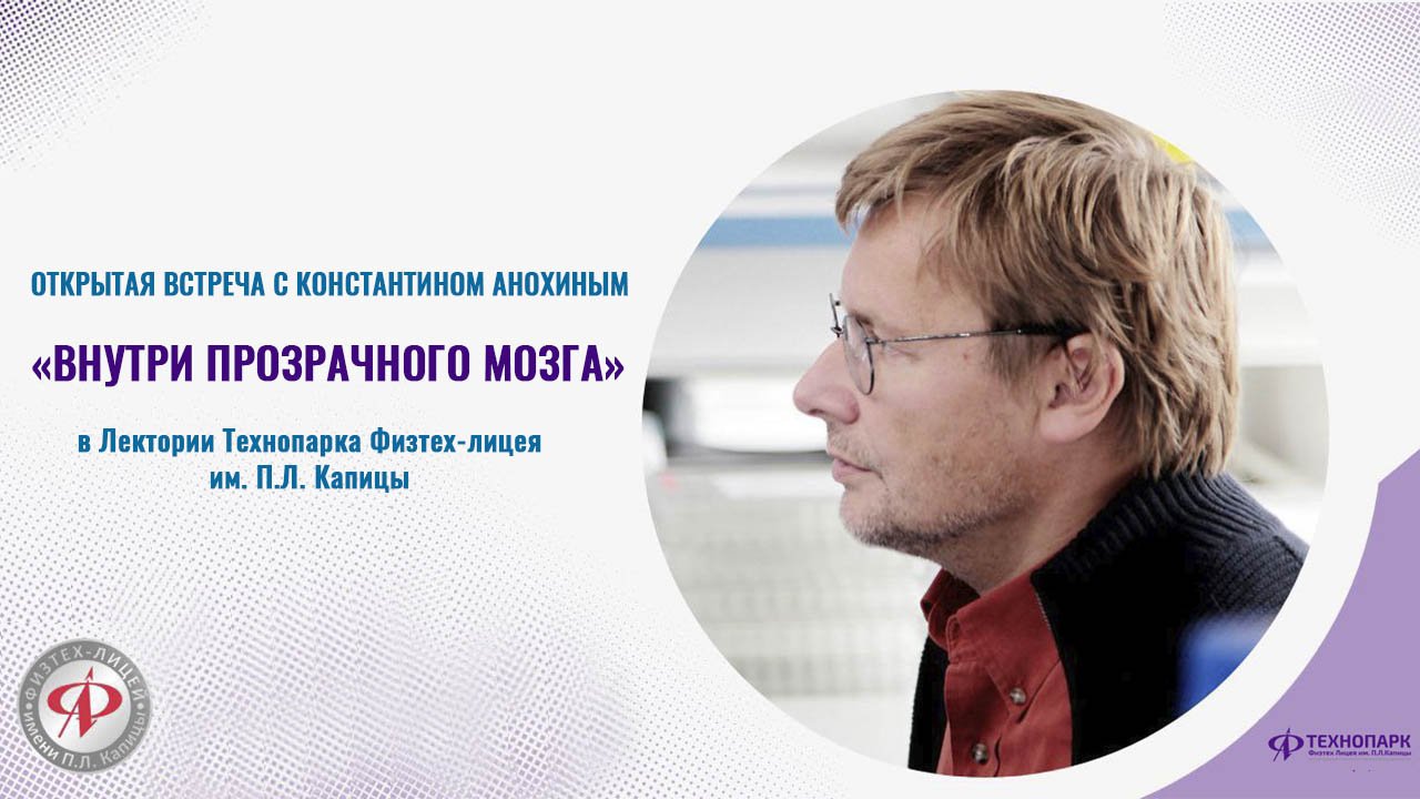 Лекция Константина Анохина Внутри прозрачного мозга