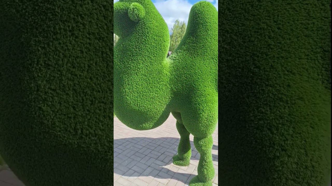 Наш город ❤