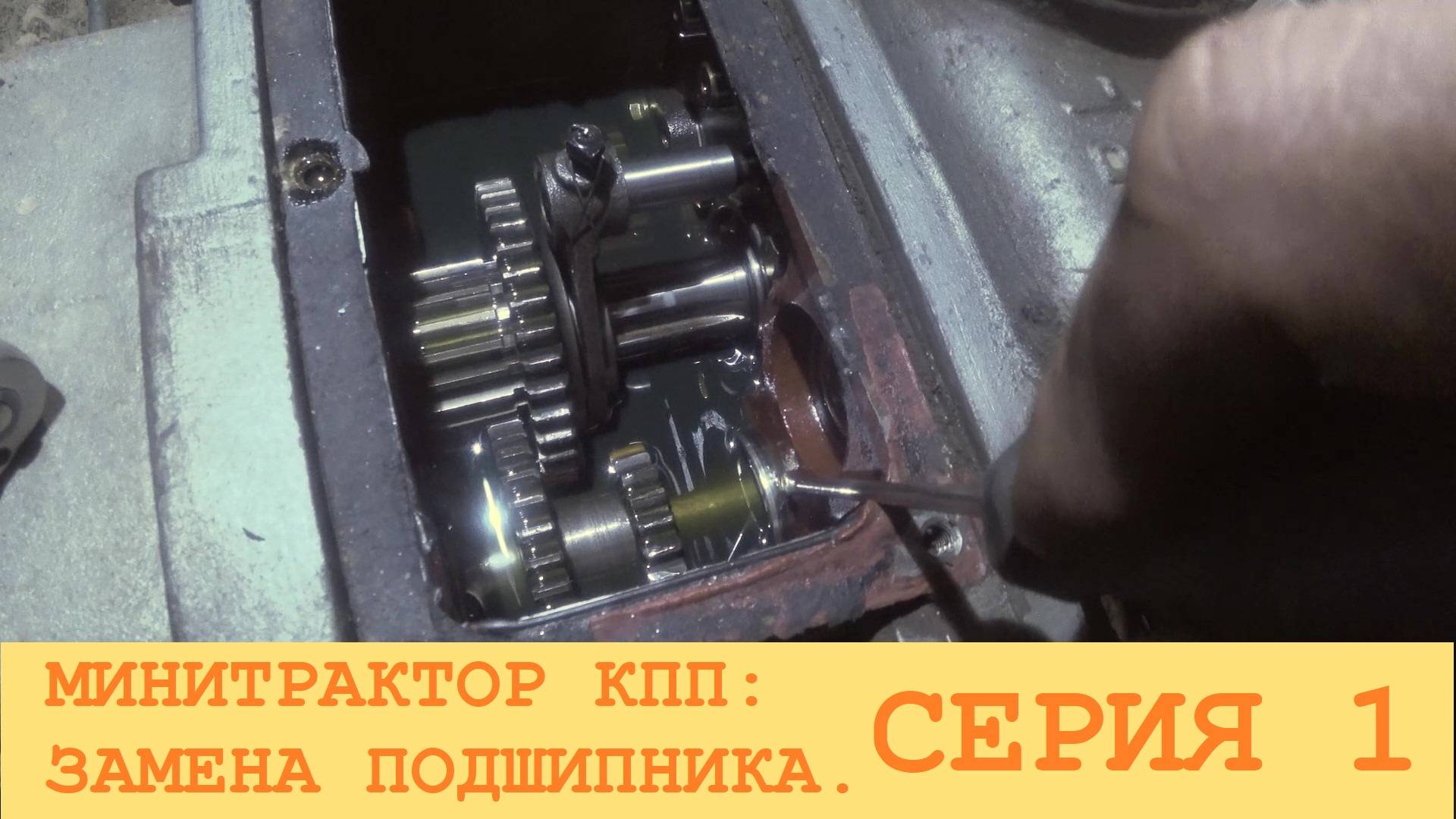 2024 Июнь. СИНТАЙ XT-244. Ремонт КПП: замена подшипника вала. Серия 1.