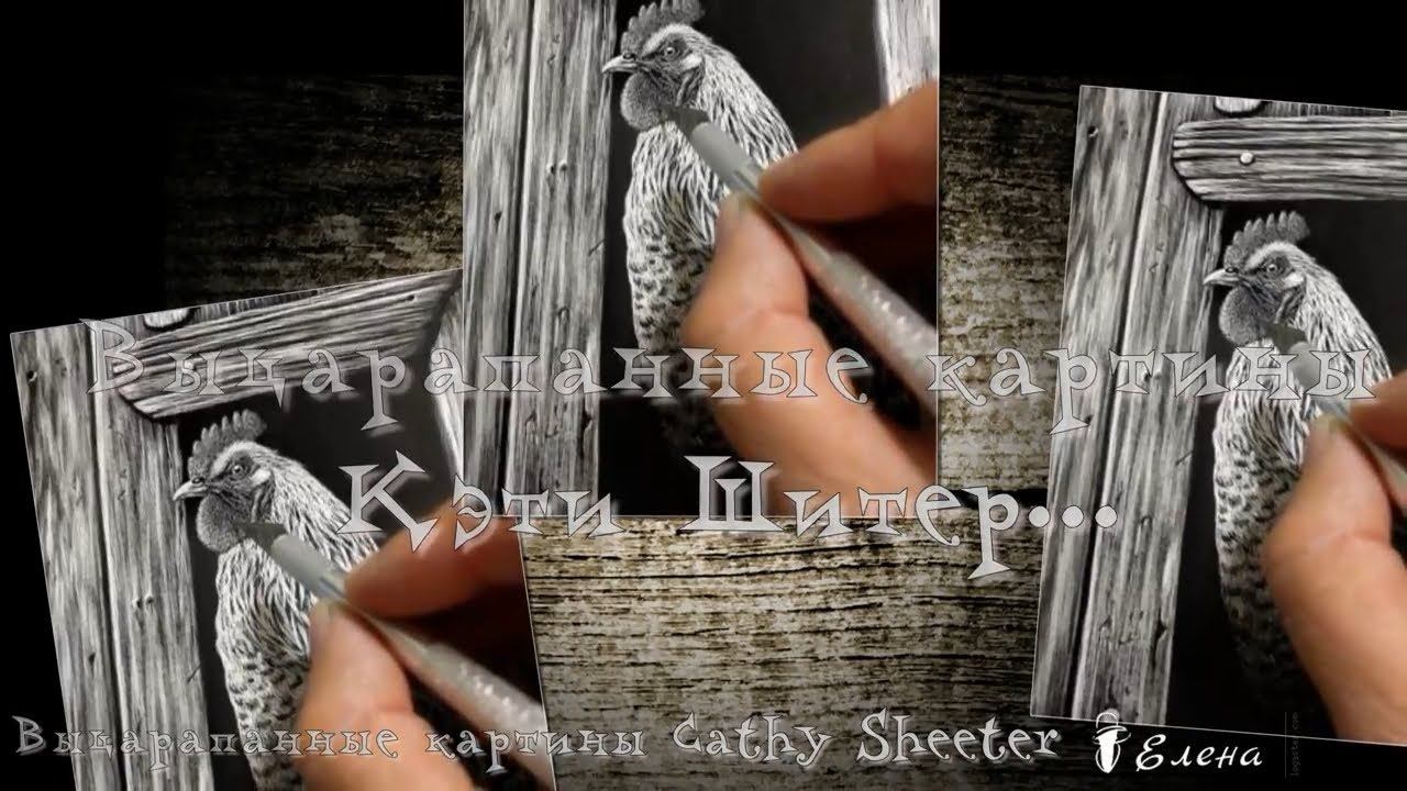Выцарапанные картины Кэти Шитер (Cathy Sheeter)*
