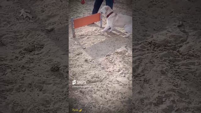 Луна, весна, солнышко....mp4