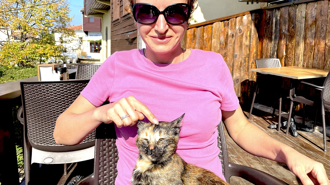 Кошка в Турции / Наглата