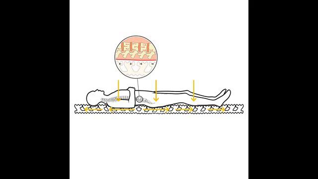 Системы здоровья. Единственный матрас с истинно ортопедической (лечебной) функцией!