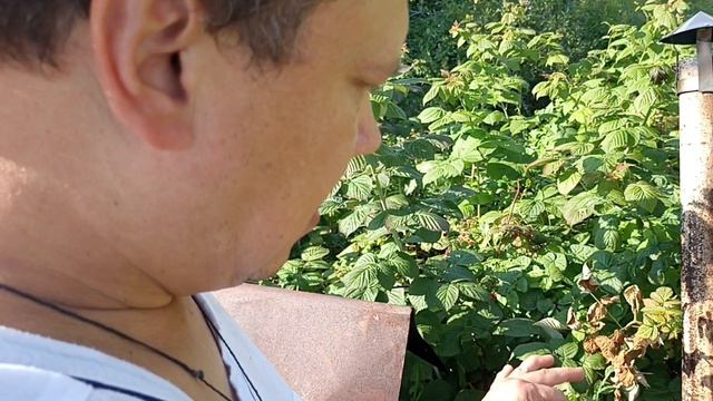 Узбекский плов в казане!