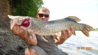 Ловля крупной щуки из под бревна.Рыбалка на щуку летом.2022.