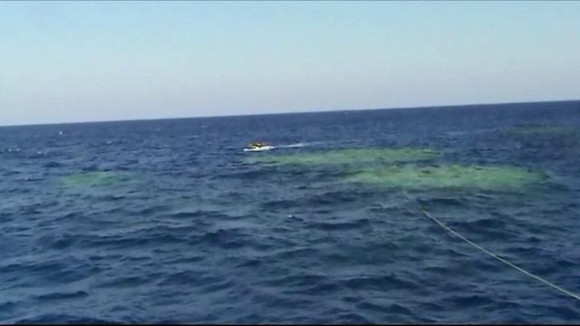 Сафари Сэр Джонс - Север Красного Моря -   Дайвинг