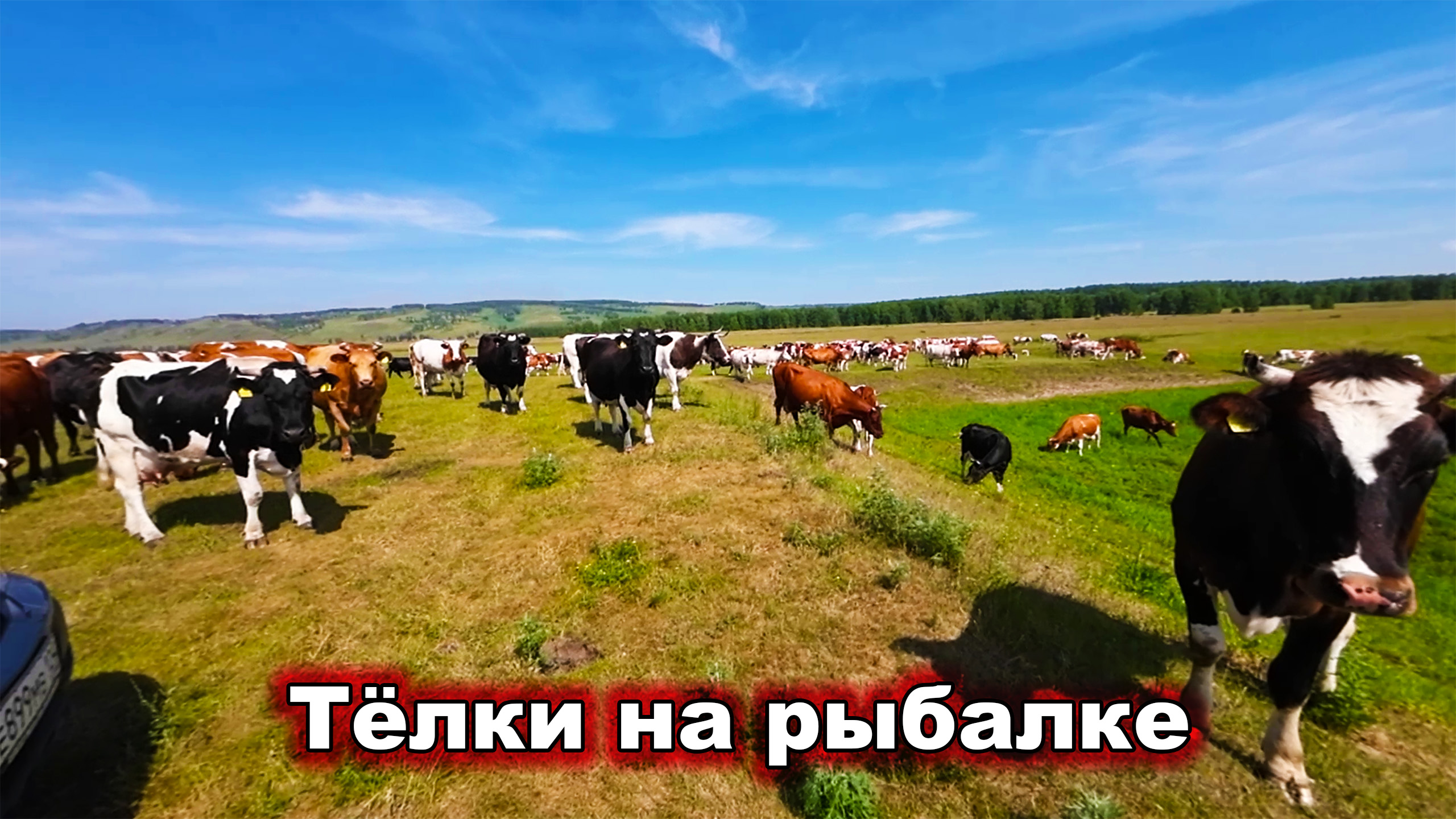 Тёлки на рыбалке. Русская рыбалка.