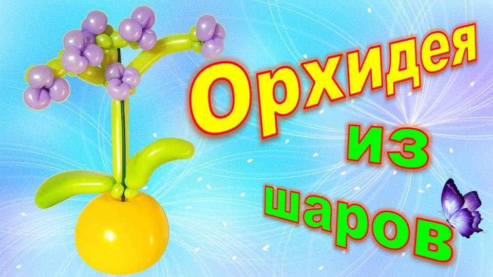 Орхидеи из шаров. Цветы. Мастер класс. Balloon orchids. Flowers. Balloons. DIY. Hand made. How make