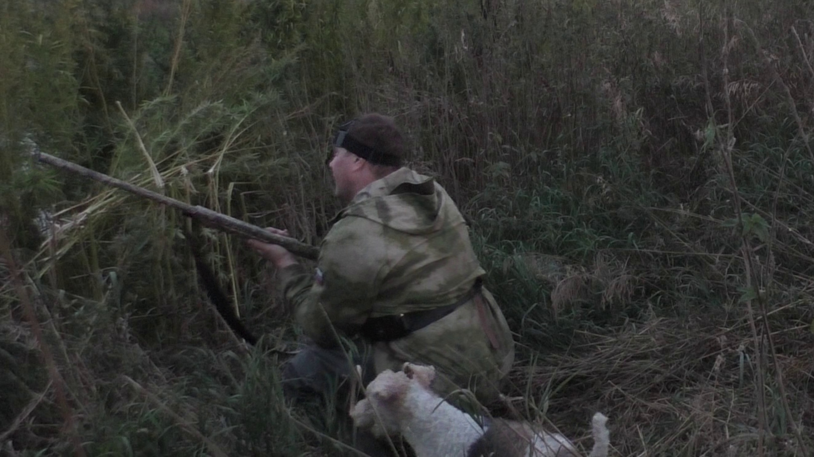 Охота на утку в выходные (сентябрь). А говорили утки нет.  A duck on the weekend.