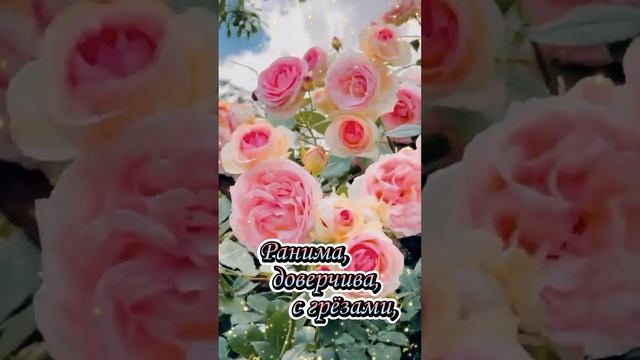 Роза - она как женщина! Shorts