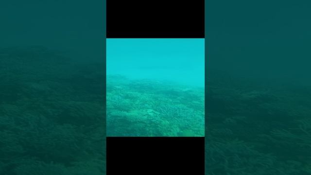 Экскурсия на яхте по Красному морю. Египет. Июль 2023.