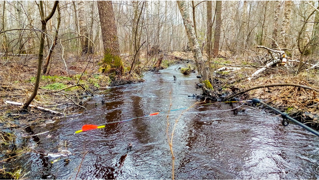 ОТКУДОВА на ЭТОМ ЛЕСНОМ РУЧЬЕ, ТАКАЯ РЫБА! Рыбалка на боковой кивок в 2022