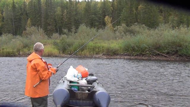 14 Серия Ловля Хариус по 2 Рыбы Сразу Алтайская Балда Удочка Поплавок Тайга Перекат Федоровича Сухой