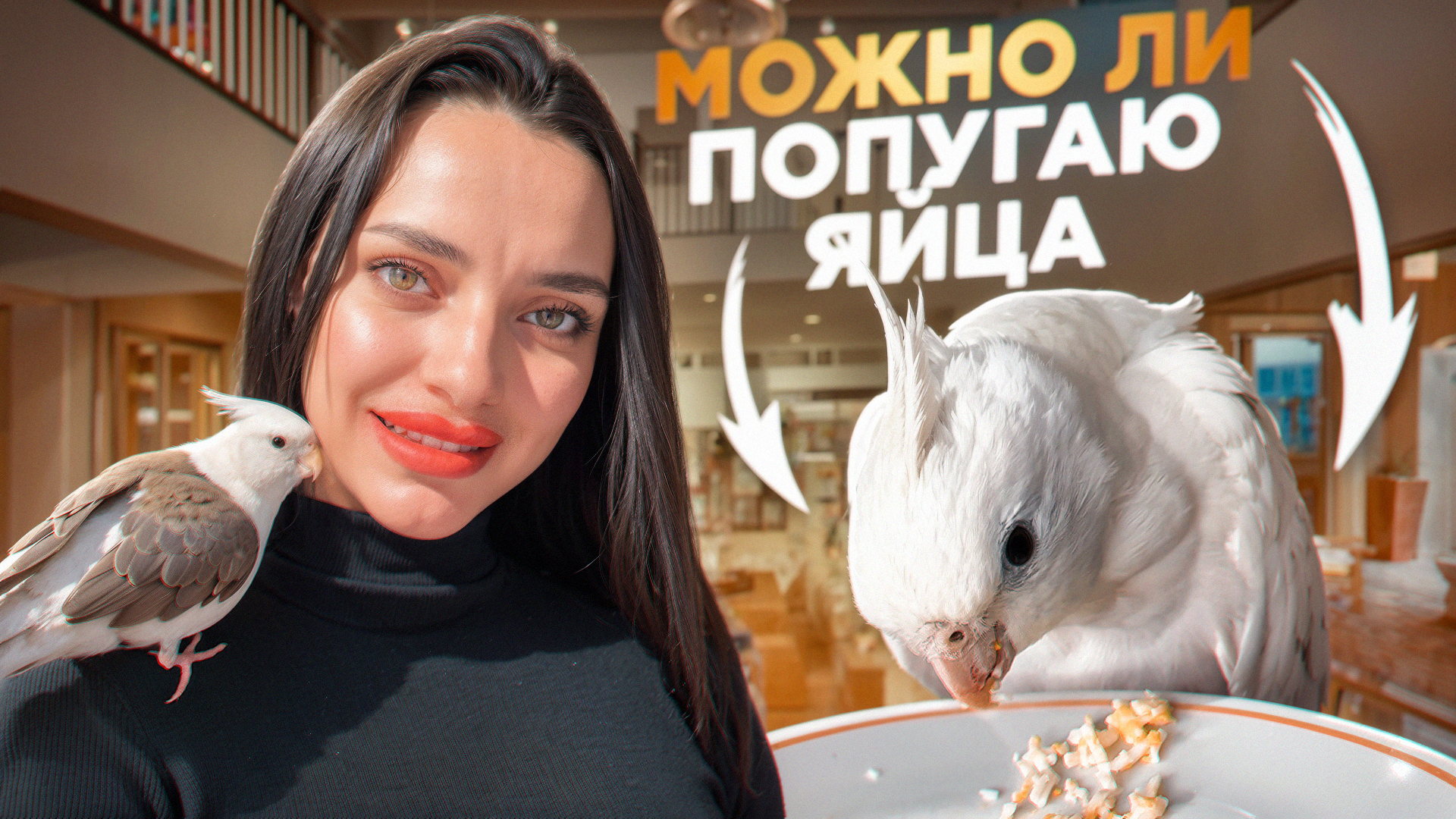 МОЖНО ЛИ ЯЙЦО ПОПУГАЮ?