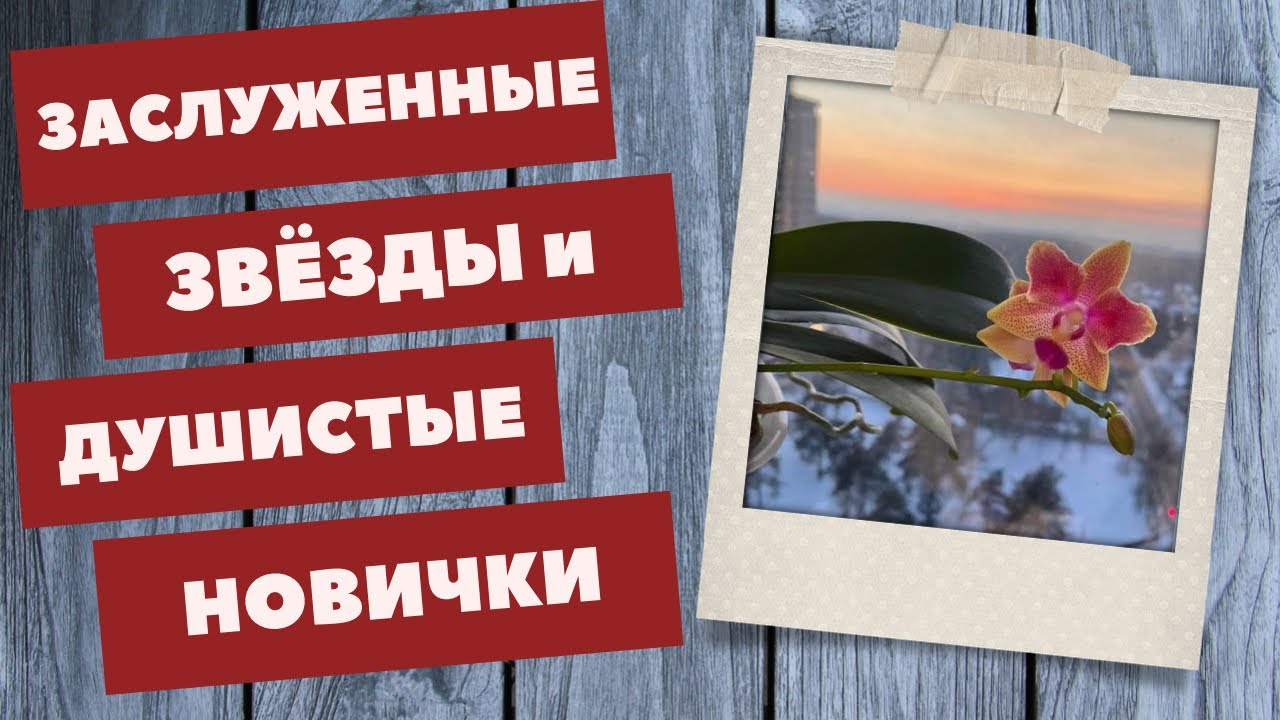 Орхоплянка