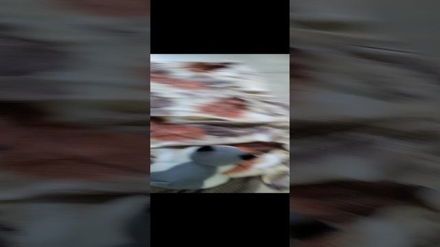 .VID_20230804_153941