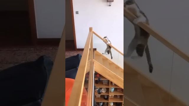 Эх прокачусь #Эх прокачусь #short #Oh, I'll take a ride