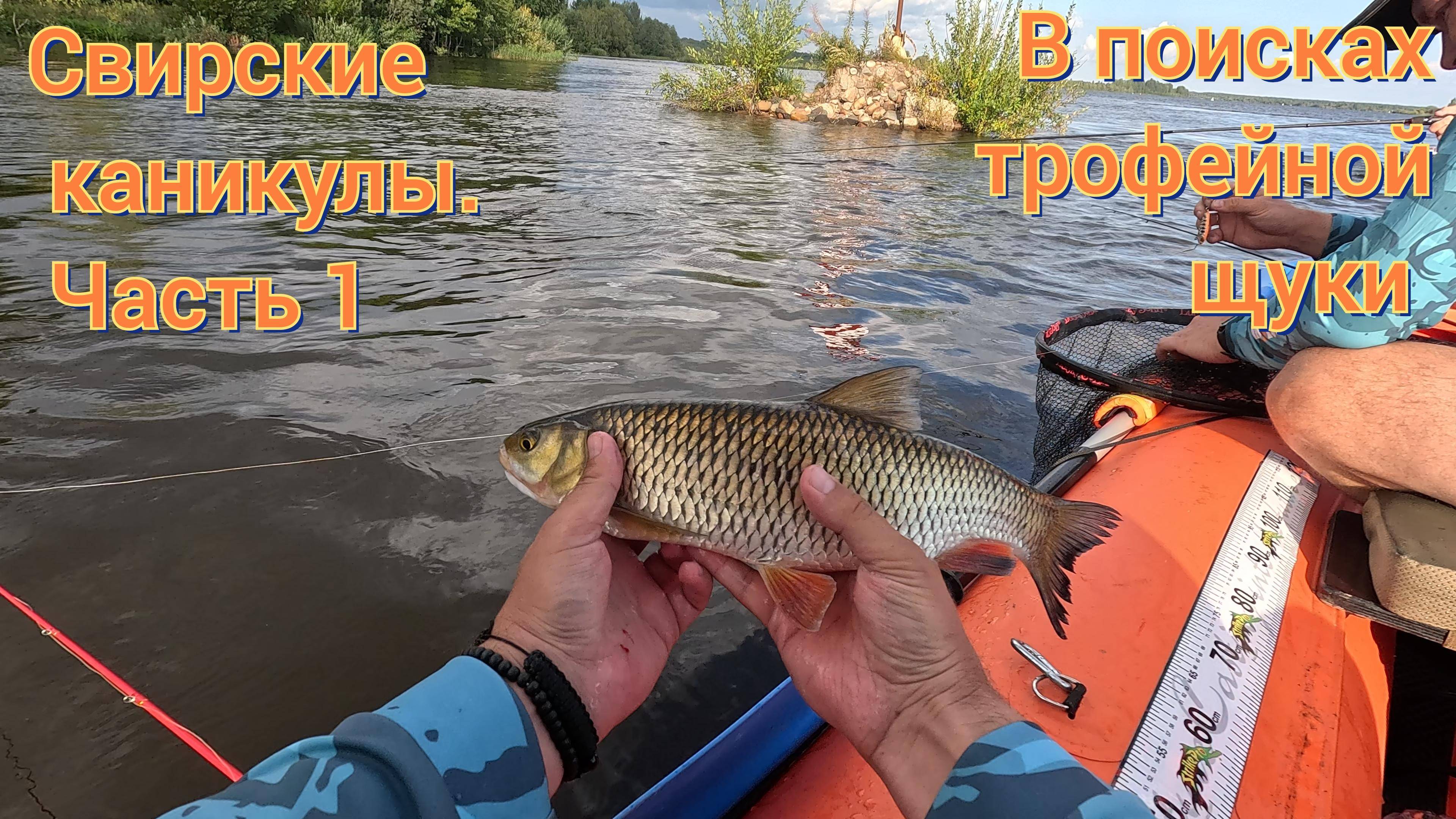 Свирские каникулы 2024. В поисках трофейной щуки (часть 1)