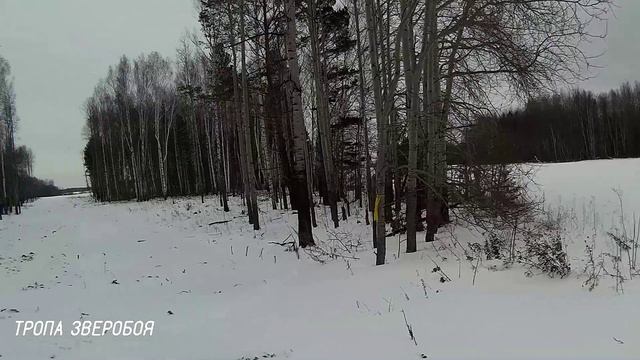 ПОВТОРНО ВЫТРОПИЛ ПОДНЯТОГО ЗАЙЦА