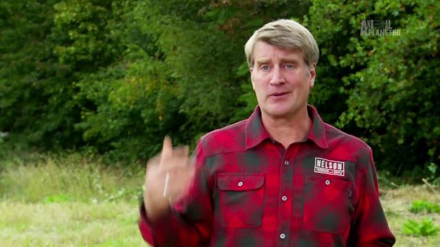 Дома на деревьях 9 серия «Милый дом на дереве» (документальный сериал, 2015)