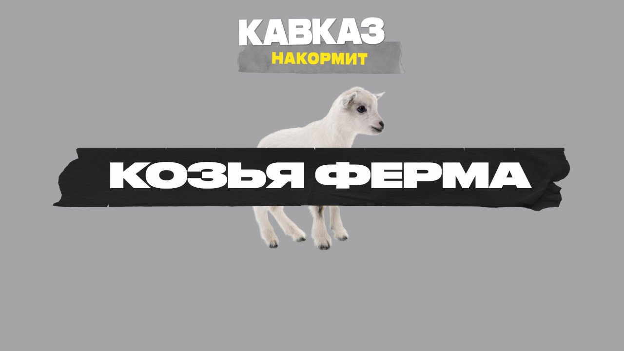 Кавказ накормит. Козья ферма