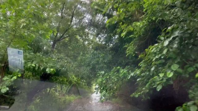 Ужасы в Абхазии. Июль 2023. Как этобыло.