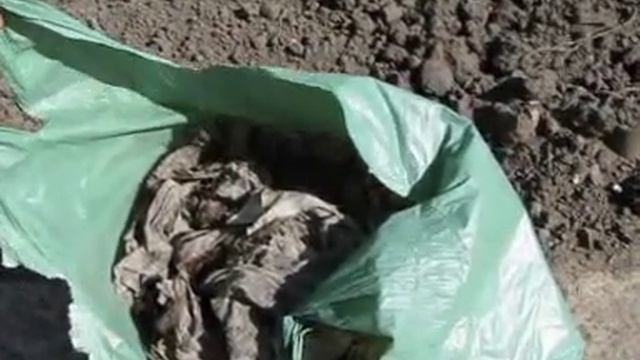 Жена помогла вскопать огород и офигела! Осторожно! Американская химия!