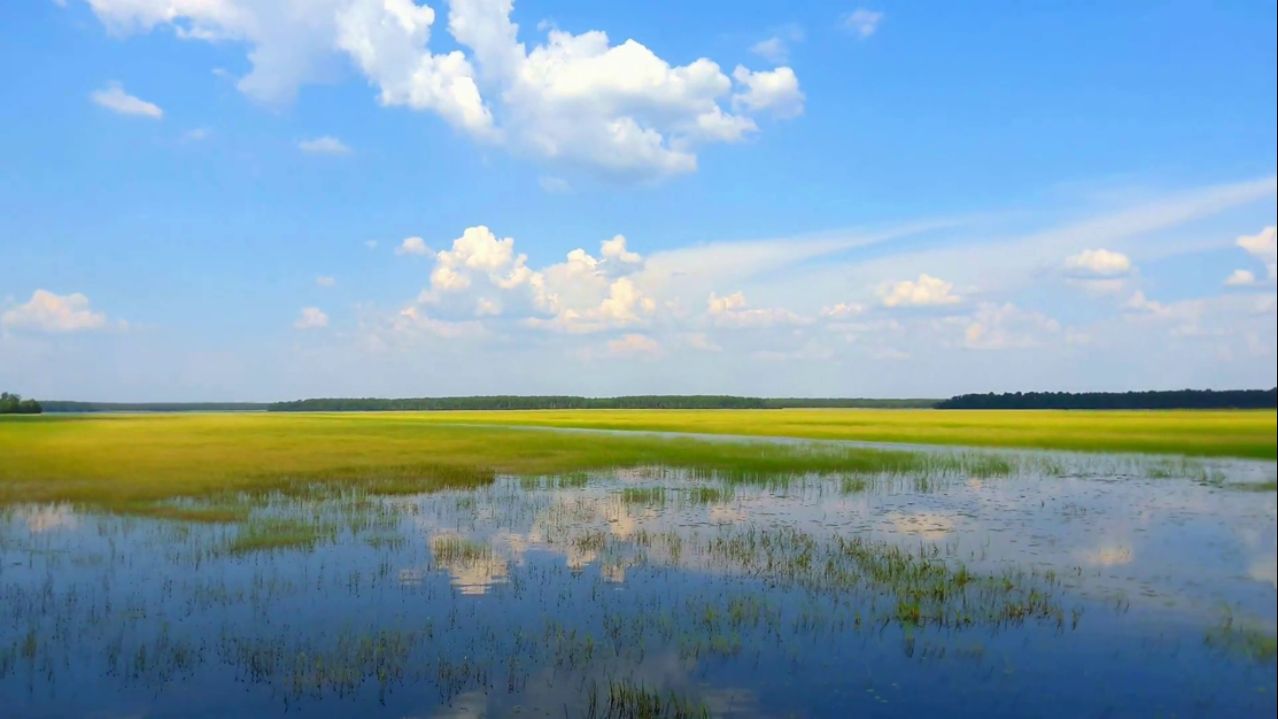 ОЗЕРО ВЕЛИКОЕ ПОКАТУШКИ ПО БЫВШЕЙ УЗКОКОЛЕЙКЕ 2022.08.07