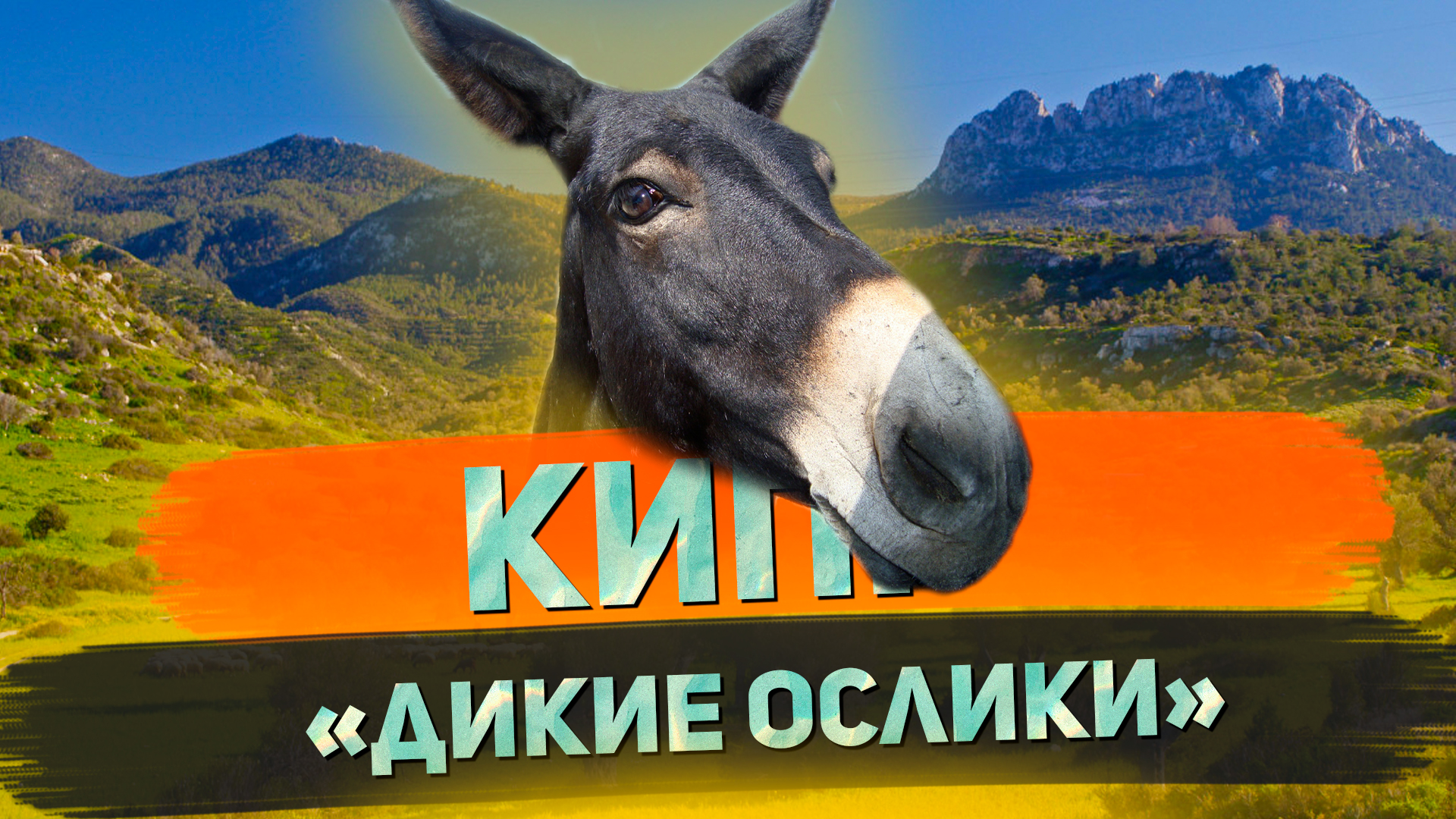 Полуостров Карпас – затерянный Рай на Северном Кипре // Я остаюсь