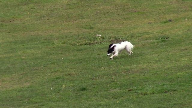 На прогулке возле речки.