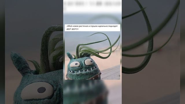 Хорошего настроения!?Подборка цветочного юмора?Шутки про растения?Смешное видео?#shorts