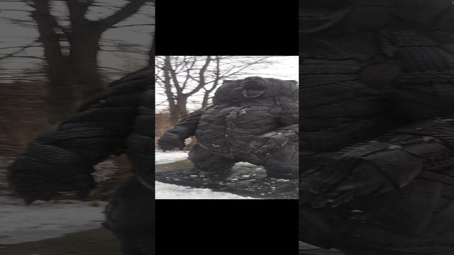 Парк культуры и отдыха Молодежный. Златоуст. Март 2023