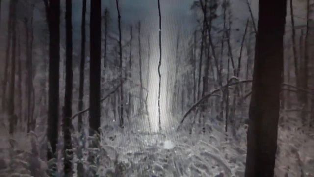 Зимний день. Подъем на сопку. Ледяные иглы