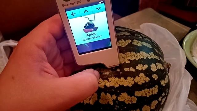 Проверяю арбуз на содержание нитратов своим бытовым тестером, показываю результаты.