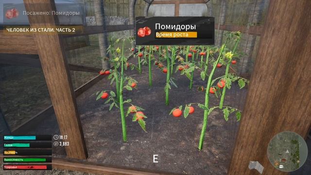 Симулятор  русской  деревни  #18      Амбар , теплицы  и  ульи .