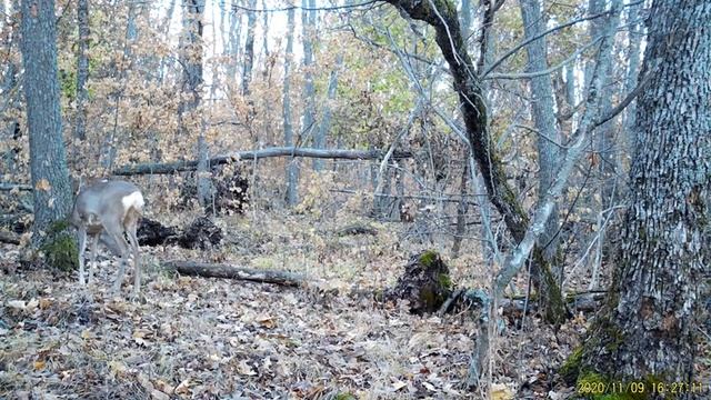 Загадка для самых внимательных