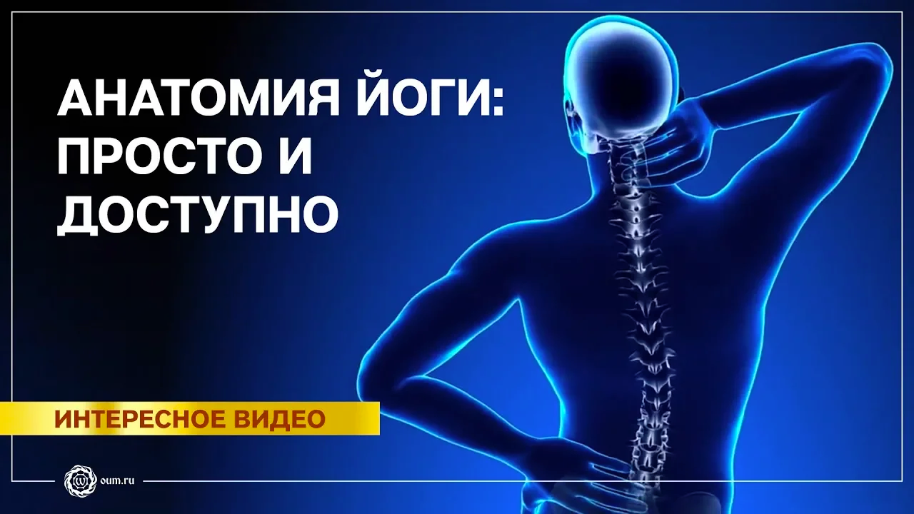 Анатомия йоги. Пол Грилли. Часть 1
