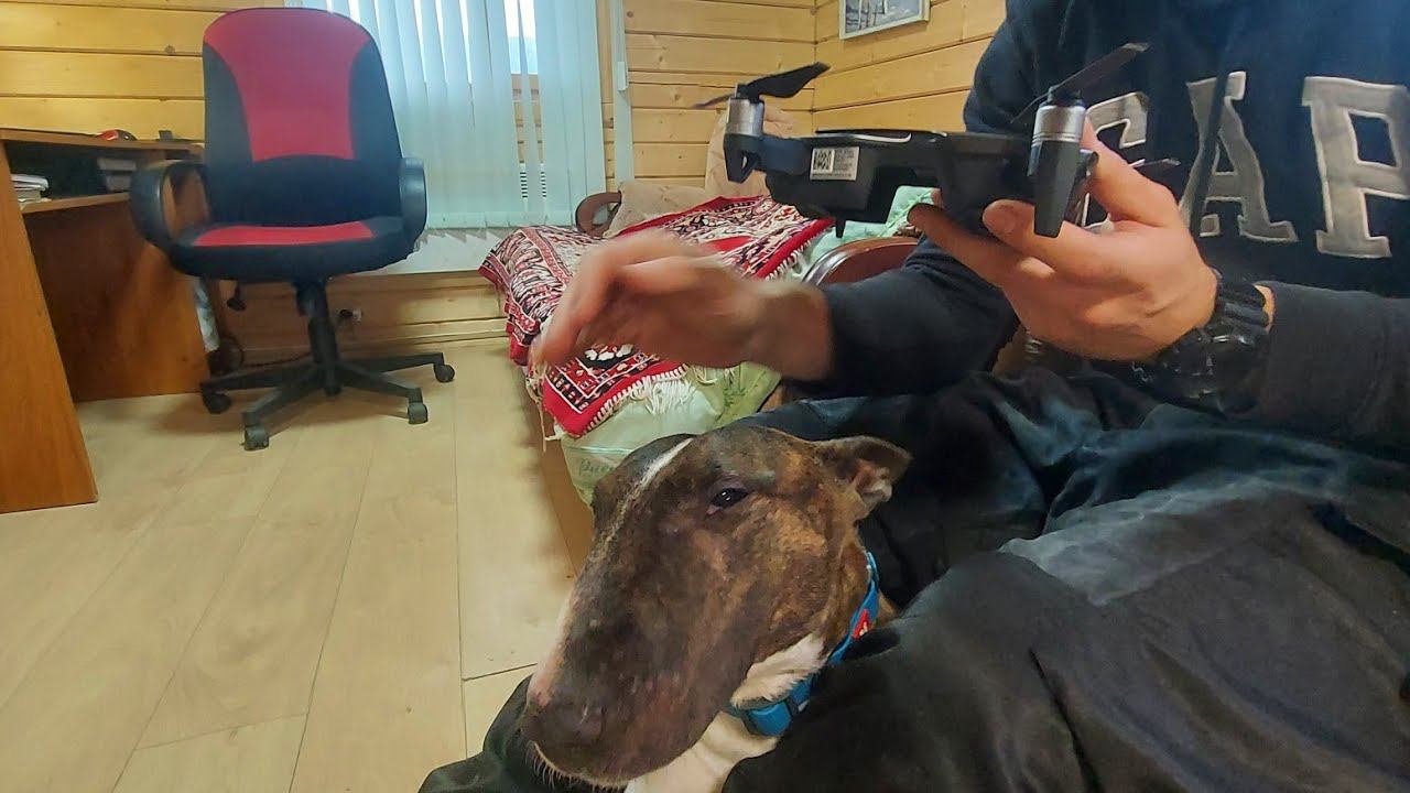 Снуп привез дрон жужу