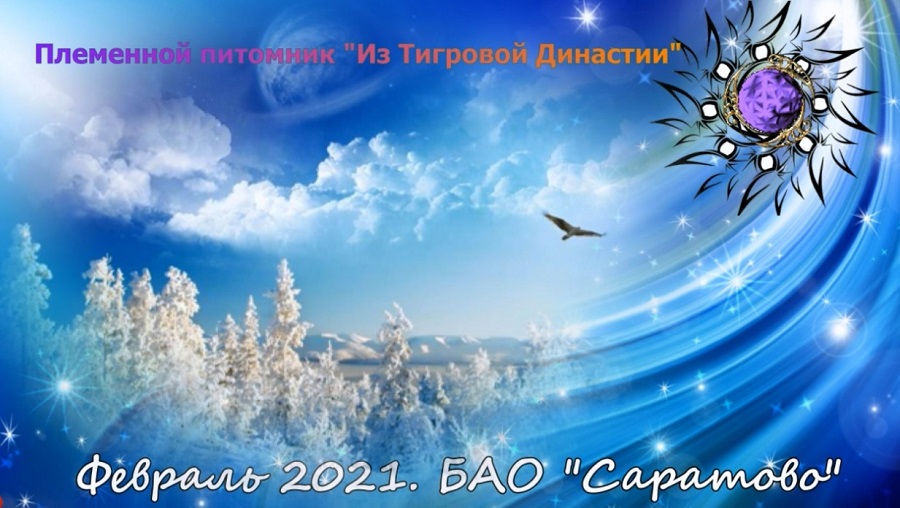 База отдыха "Саратово". Февраль 2021