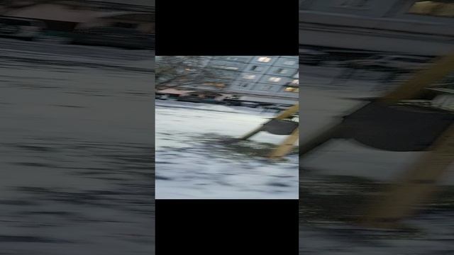 идём из садика 20231204