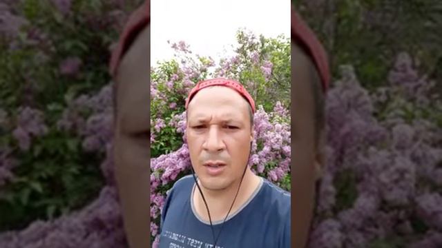 LIKEE. СОЦСЕТЬ. PROPHET. SHCHERBAKOV. ЩЕРБАКОВ АРТЁМ. 1.012.○.ХАМСТВОНЕАДЕКВАТНОСТЬ