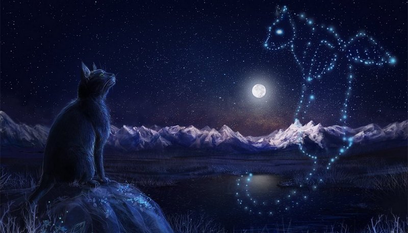 Ветлицкая - Лунный кот