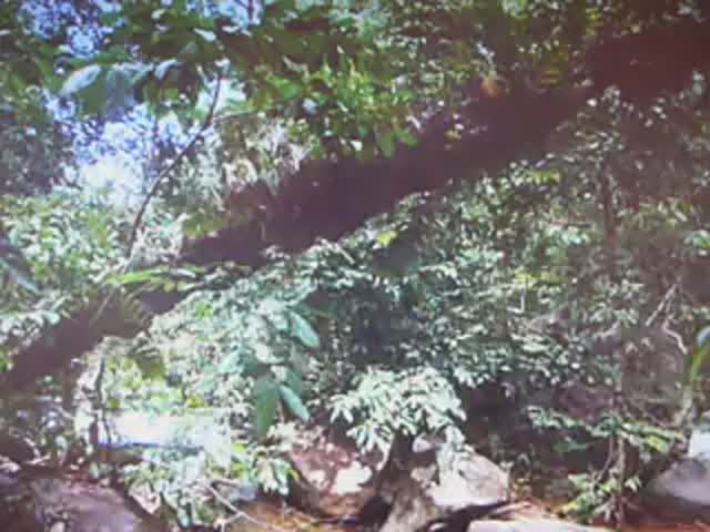 Если заблудились - выходите к реке. Часть 3