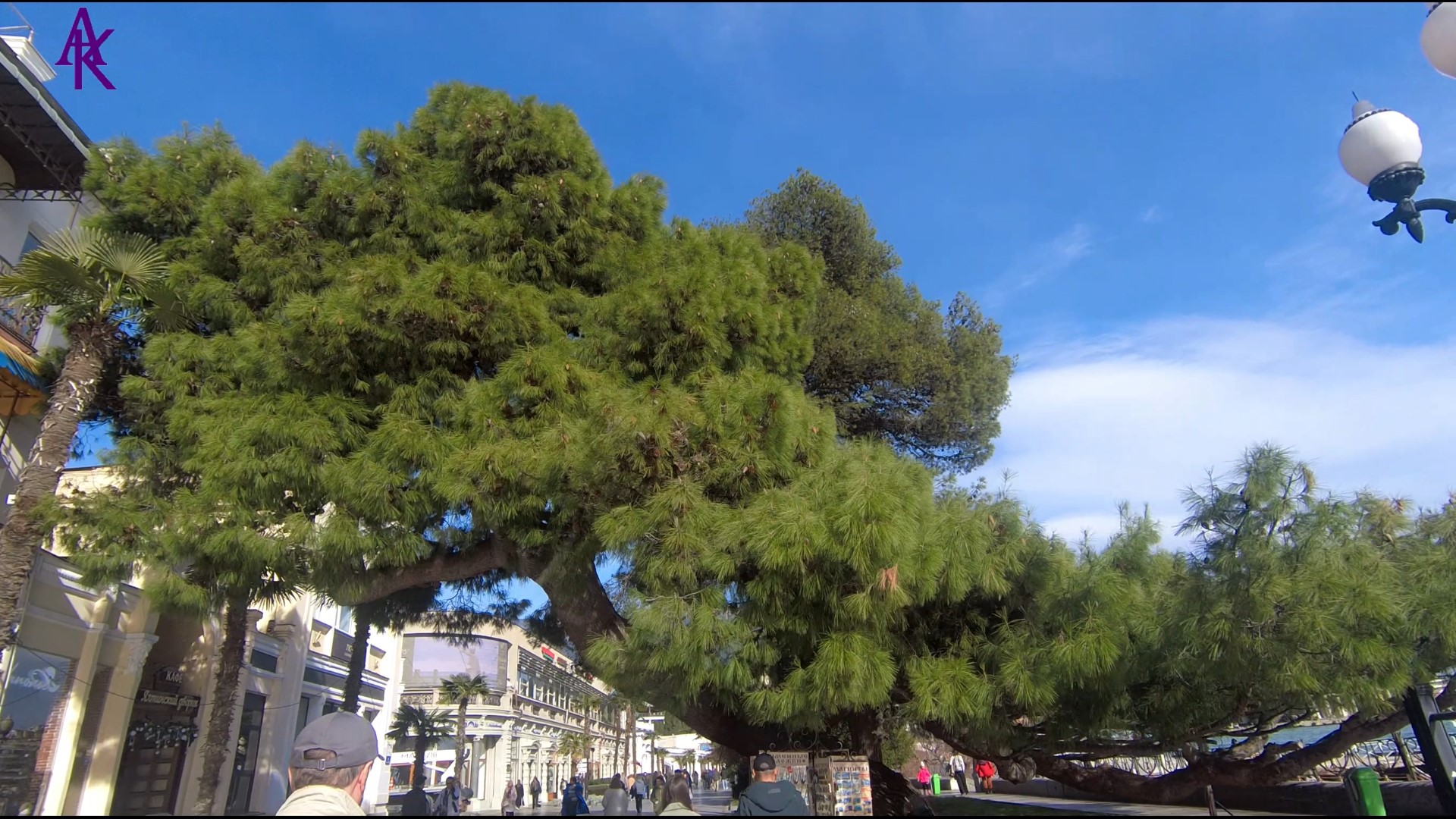 Крым. ЮБК. Ялта. [2.7K] Прошлись немножко по солнечной Ялте. ? Часть 2. Запись от  07.02.24