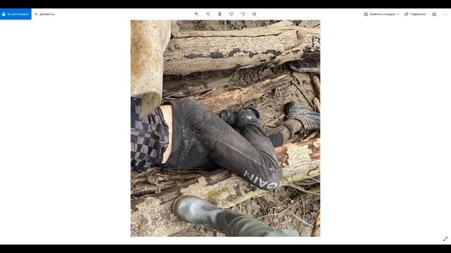 Дима Новоженин. Не сам ушел, не сам замерз